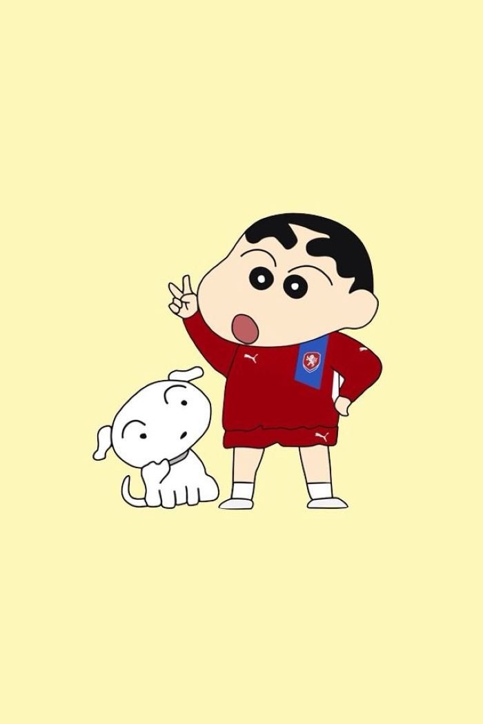 ảnh shin sinh động
