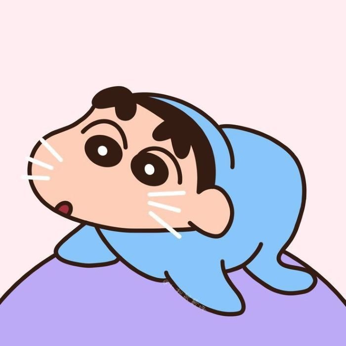 ảnh shin lầy mà cute