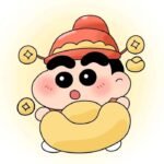 ảnh shin