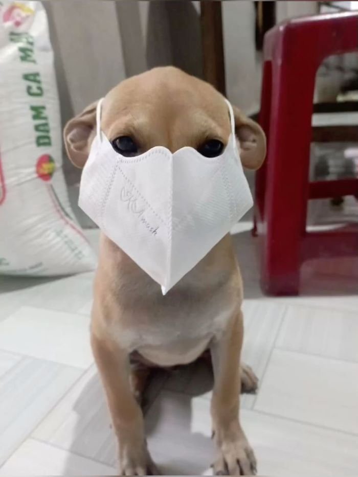 ảnh vô tri 2
