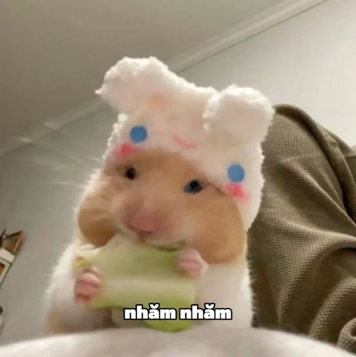 ảnh vô tri 10