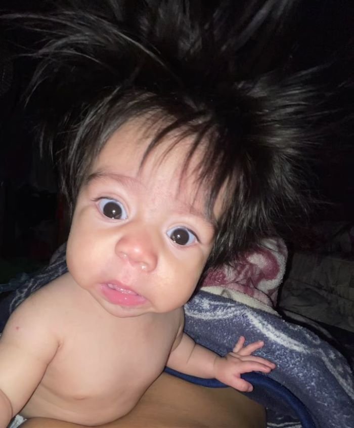 ảnh vô tri 4