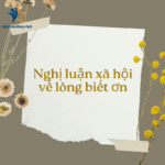 Nghị luận xã hội về lòng biết ơn