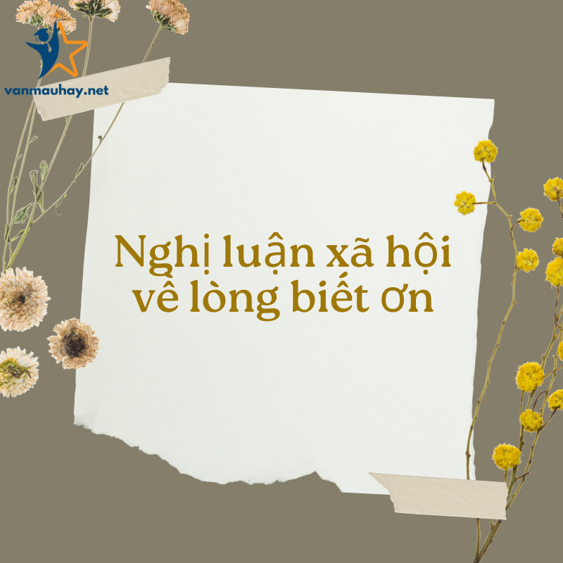 20+ mẫu nghị luận xã hội về lòng biết ơn hay nhất