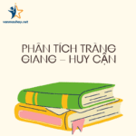 Phân tích Tràng giang huy cận