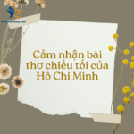 cảm nhận bài thơ chiều tối