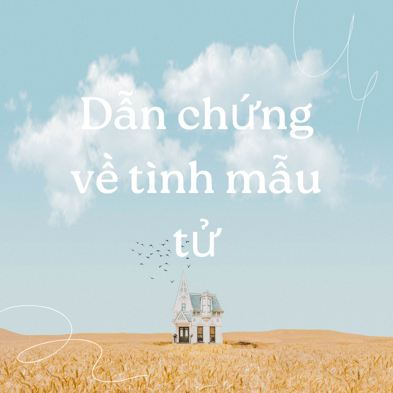 dẫn chứng về tình mẫu tử