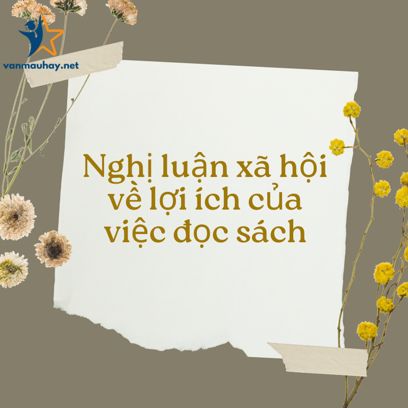 8+ bài nghị luận xã hội về lợi ích của việc đọc sách hay