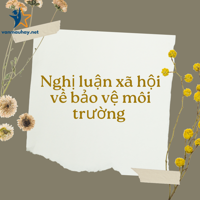 10+ bài văn nghị luận xã hội về bảo vệ môi trường hay nhất